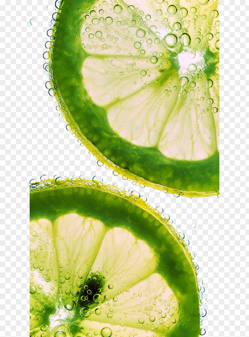 Lemon Slices IPhone 4S 5s 6 Plus PNG