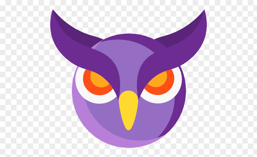 Owl Bird Clip Art PNG