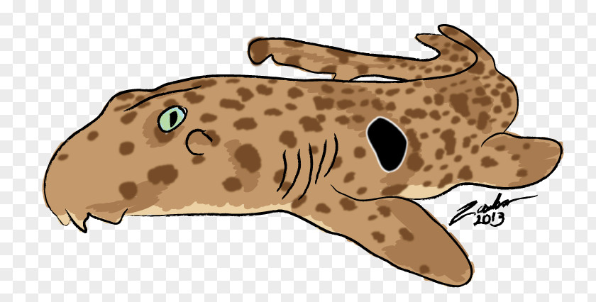 Shark Week Epaulette Fish Cat Animal PNG