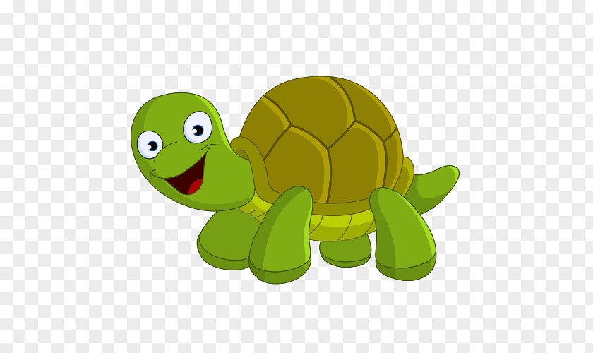Turtle Vector Graphics Illustration Clip Art Royalty-free PNG