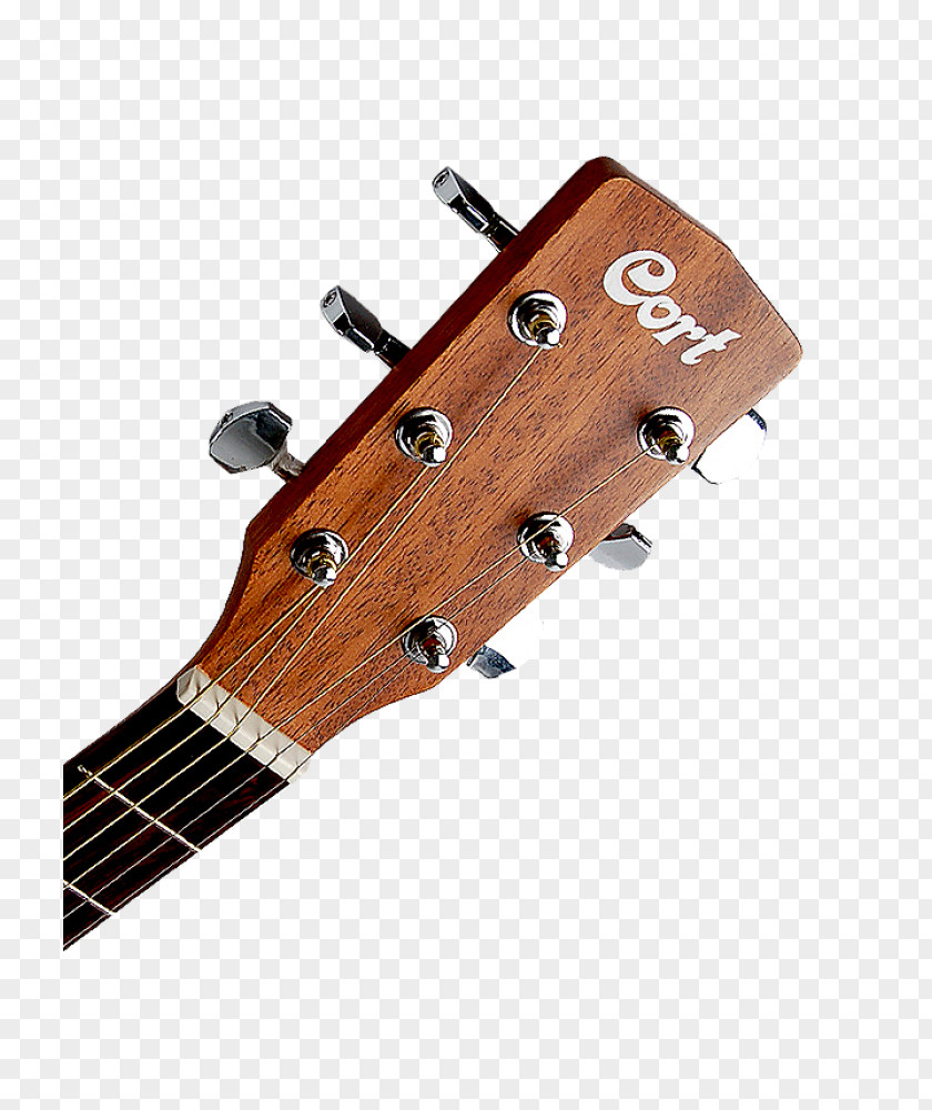 Acoustic Guitar Bass Ukulele Amplifier PNG