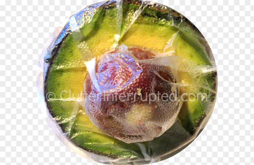 Avocado Recipe Dish Network PNG