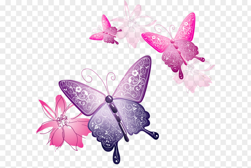 Pink Butterfly Clip Art PNG