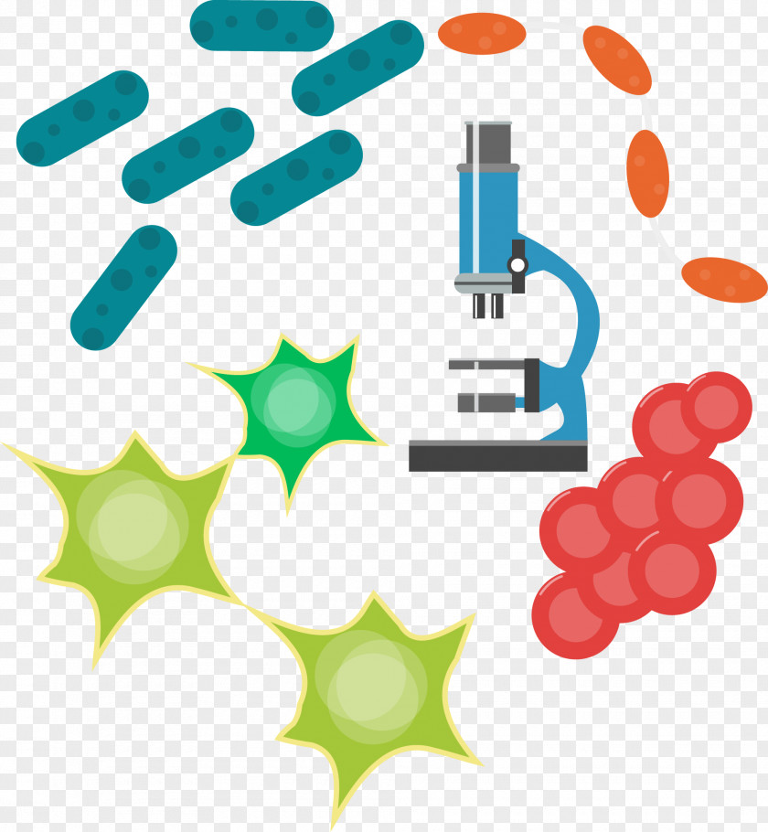 Vector Hand-painted Microscope Clip Art PNG