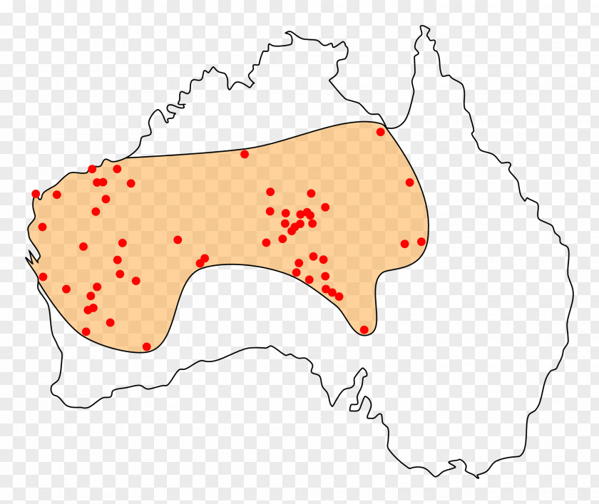 Australia Indigenous Australians Perentie Western Civilization: A Brief History Dingo PNG