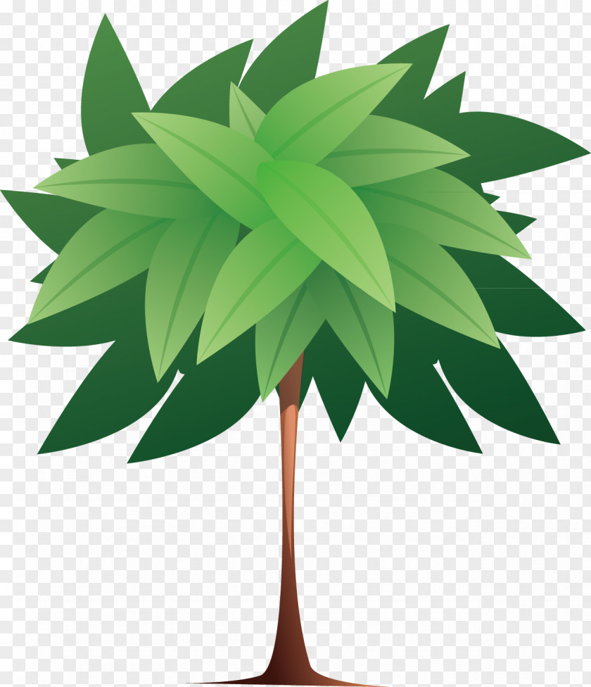 Cedar Decoration Design Tree Icon PNG