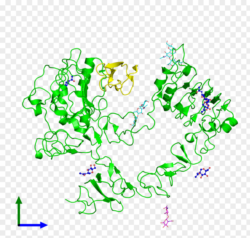 Molecules Hd Epidermal Growth Factor Receptor Molecule ErbB PNG
