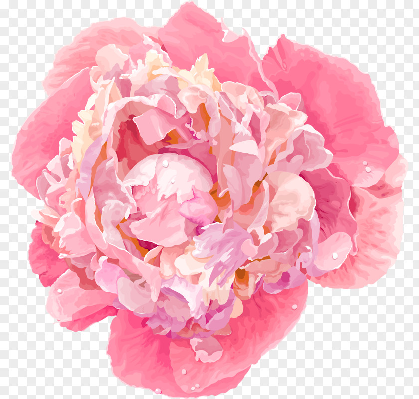 Pink Peony Flowers Royalty-free Clip Art PNG