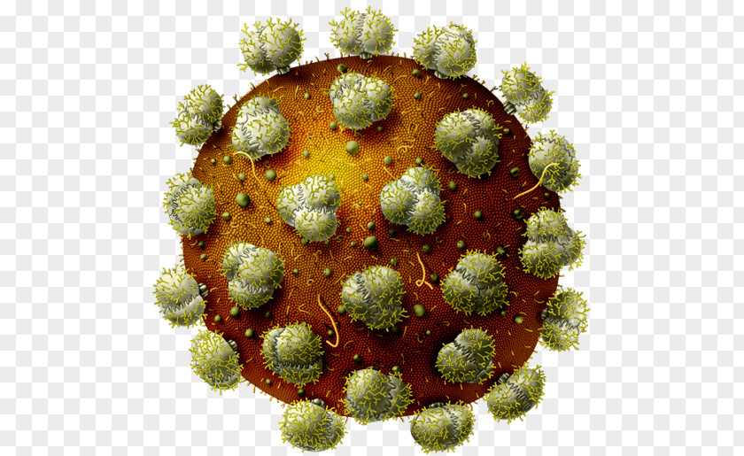 Sterilized Virus Antibody AIDS HIV Vaccine Immunodeficiency PNG