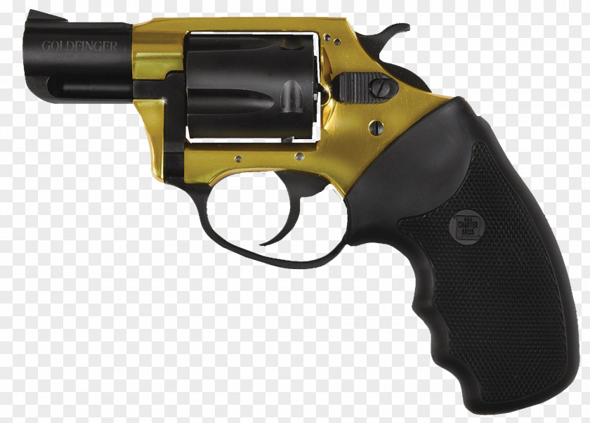 .38 Special Charter Arms Firearm .357 Magnum .44 PNG