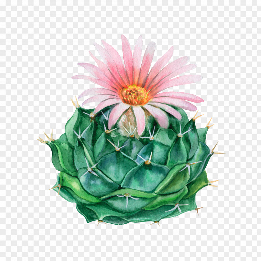 Cactus Blooming Season Watercolor Painting Flowerpot Royalty-free PNG