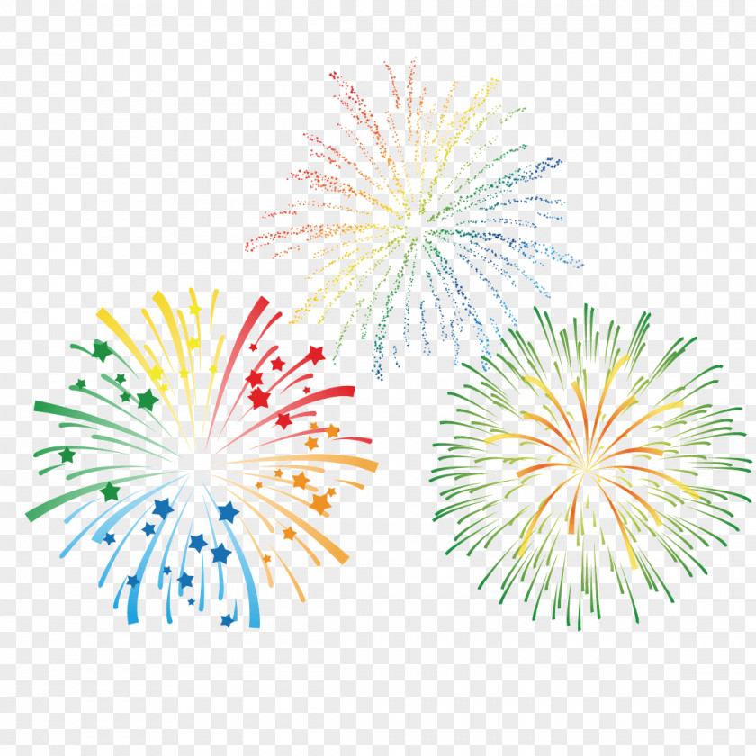 Color Fireworks Royalty-free Euclidean Vector Clip Art PNG