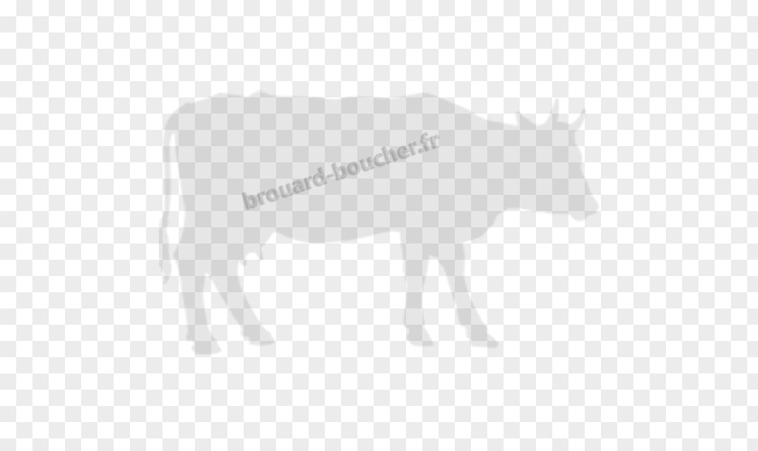 Goat Ox Cattle White Pack Animal PNG