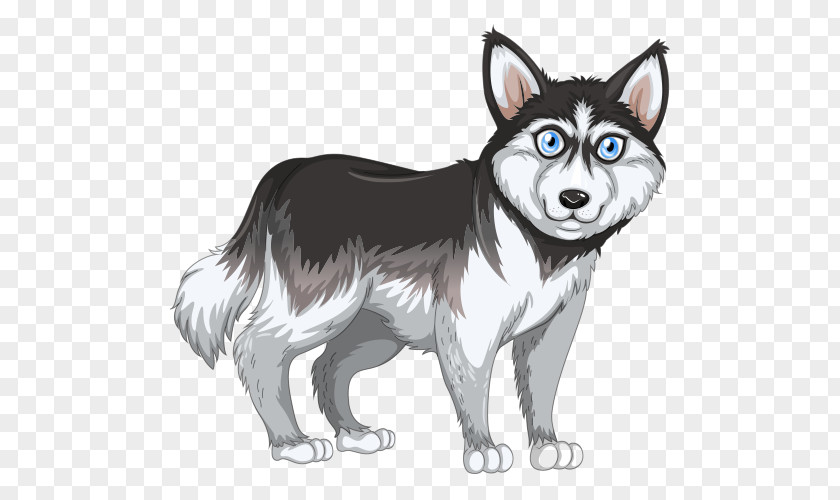 Husky Alaskan Klee Kai Malamute Siberian Akita PNG