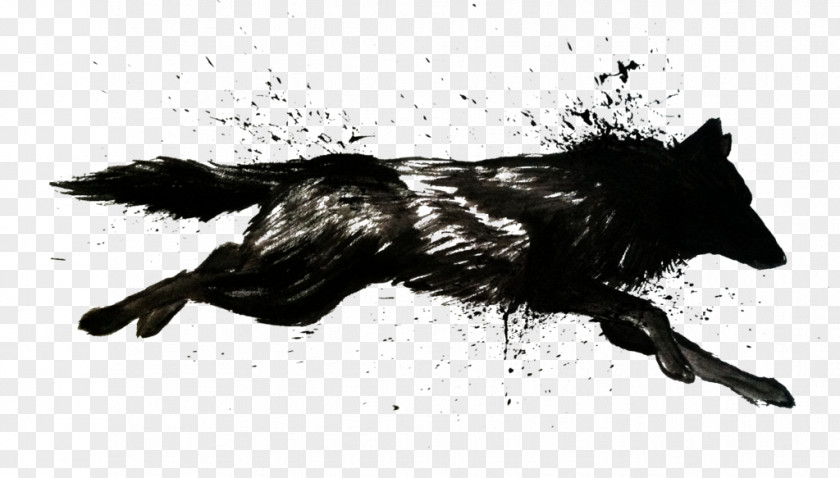 Wolf Dog Arctic Walking Black Drawing PNG
