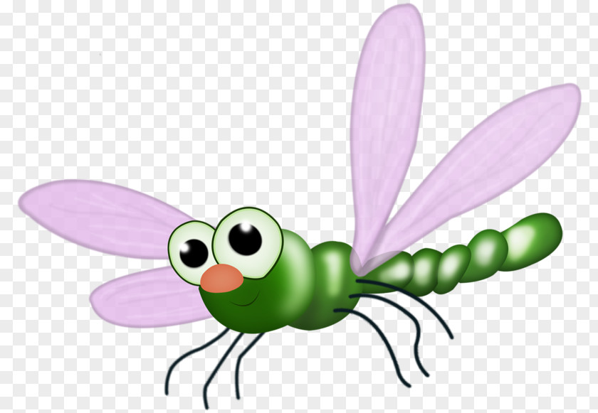 Cartoon Dragonfly Butterfly Clip Art PNG