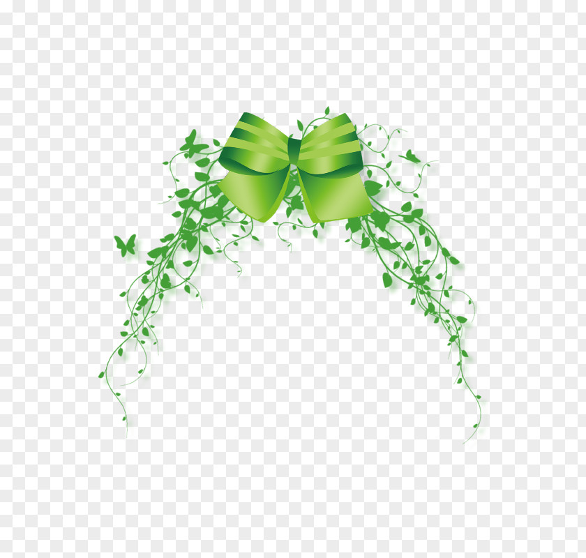 Leaves Bow Butterfly Euclidean Vector PNG