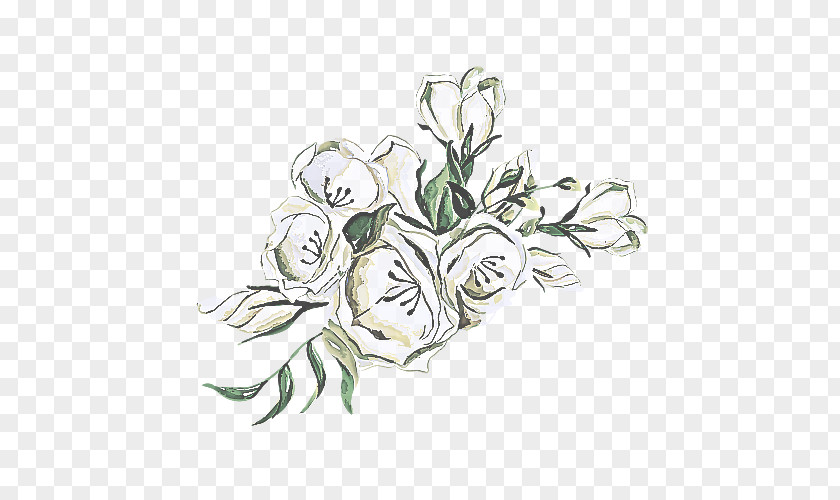 Bouquet Lily Family Flower White Plant Flowering Cut Flowers PNG