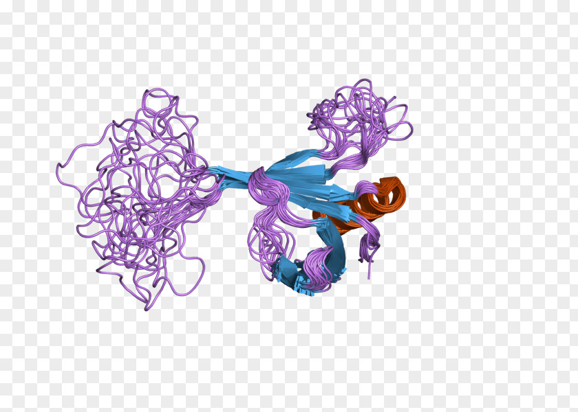 CLNS1A Protein Arginine Methyltransferase 5 Gene PNG