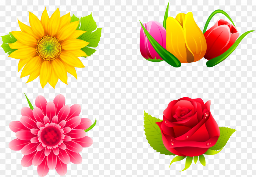 Flower Clip Art Vector Graphics Stock Photography Illustration PNG