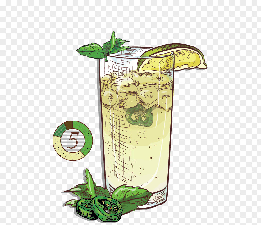 Lime Juice Drink Alcoholic Beverages Plants PNG