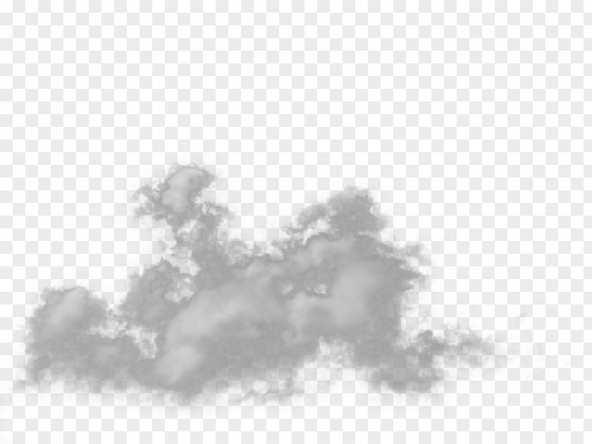 Mist Clip Art Vector Graphics Image Transparency PNG