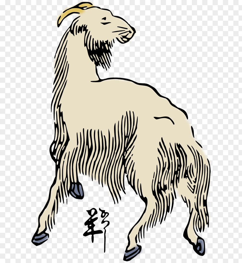 Sheep Pics Line Art Clip PNG