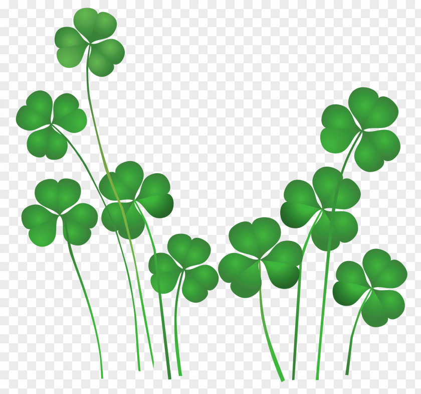 St Patricks Day Shamrocks Decor PNG Clipart Saint Patrick's Shamrock Leprechaun Irish People Clip Art PNG