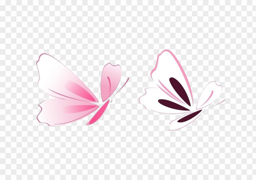 Butterfly Pattern Color PNG