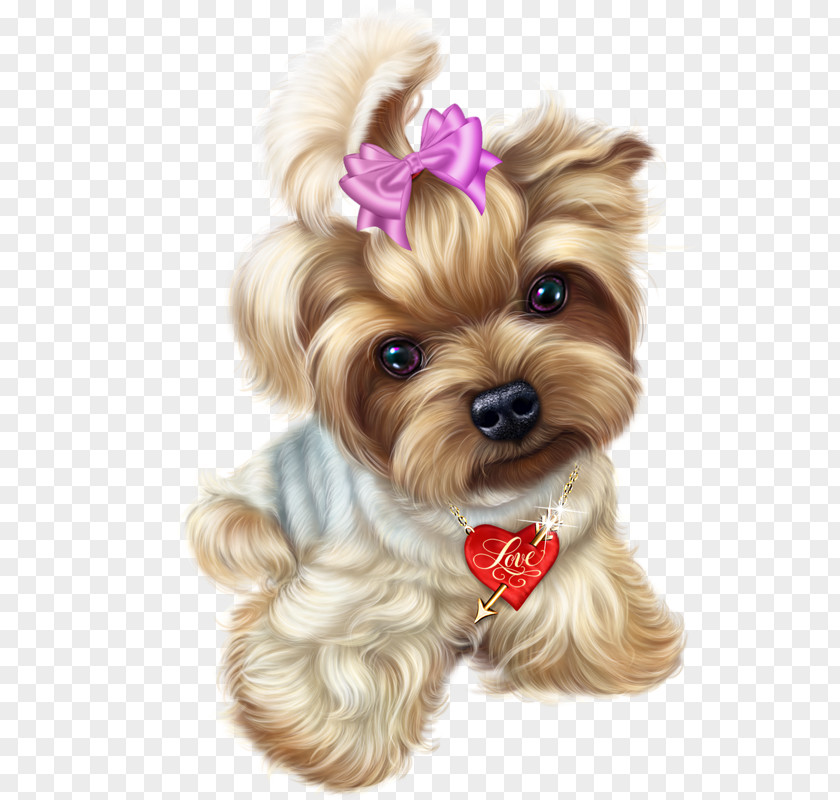 Cat Puppy Yorkshire Terrier PNG