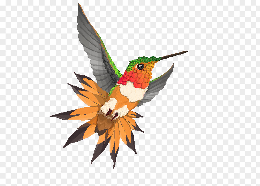 Feather Hummingbird M Beak Wing PNG