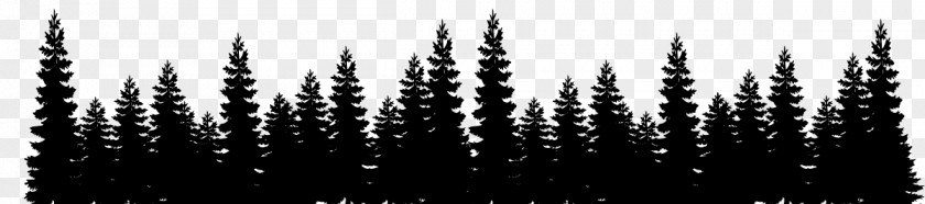 Landscape Silhouette Eastern White Pine Tree Forest Clip Art PNG