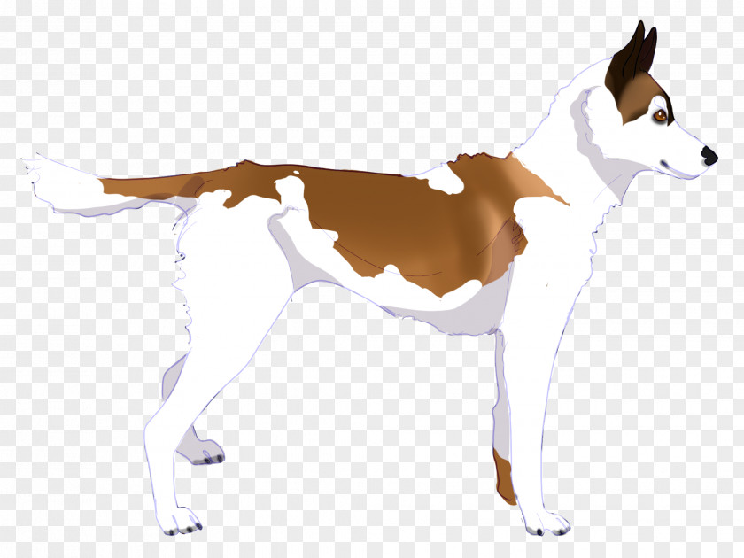 Whippet Hunting Dog Paw PNG