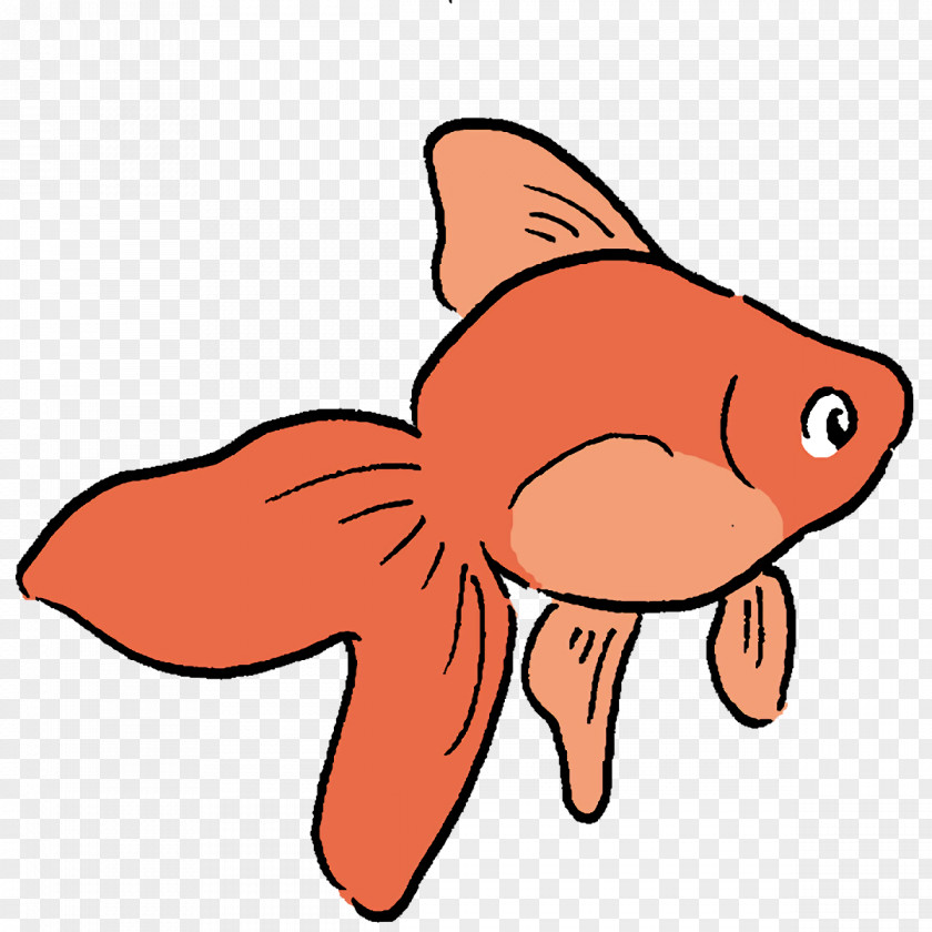 Cartoon Fish Snout Tail Orange S.a. PNG