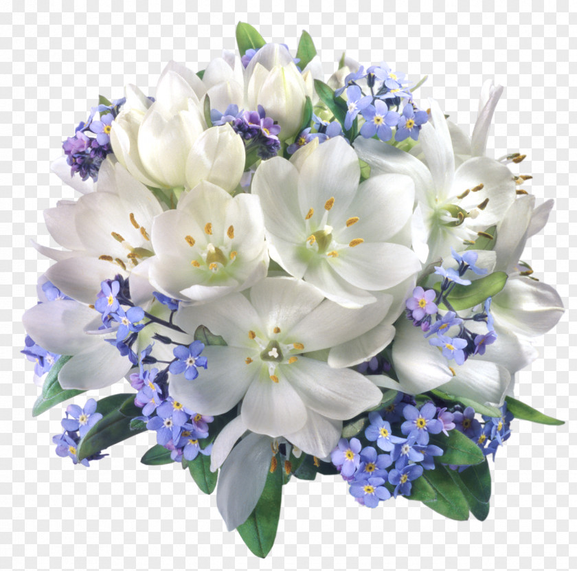 Floral Composition Transparent Picture Flower White Clip Art PNG