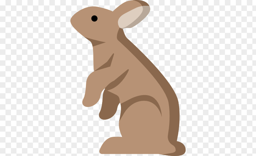 Rabbit PNG