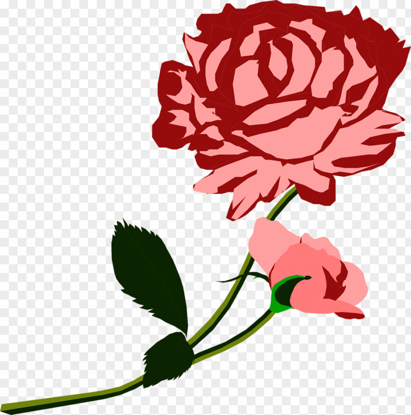 Red Rose Decorative Wars Of The Roses White York PNG