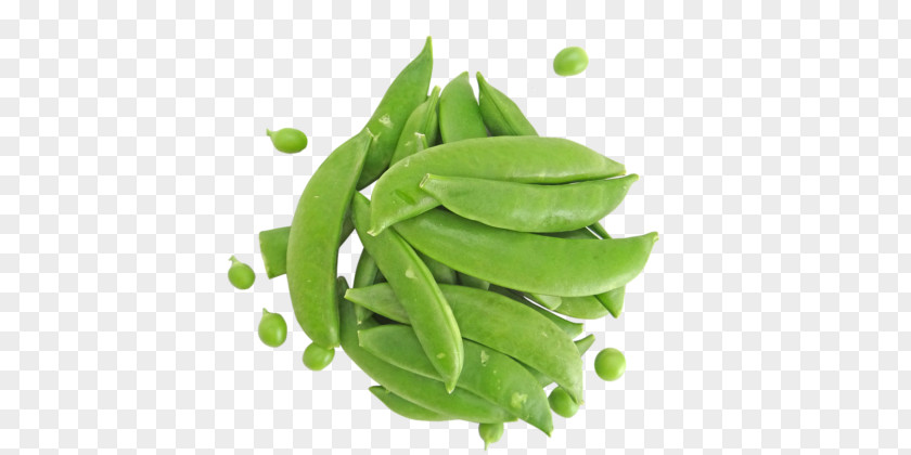 Sugar Snap Pea Edamame Snow Bean PNG