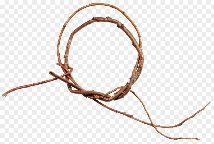 Twigs Ring Branch Twig PNG