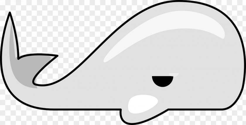 White Whale Clip Art PNG