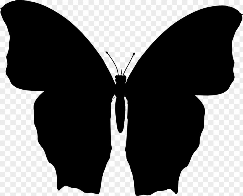 Brush-footed Butterflies Clip Art Silhouette M. Butterfly PNG