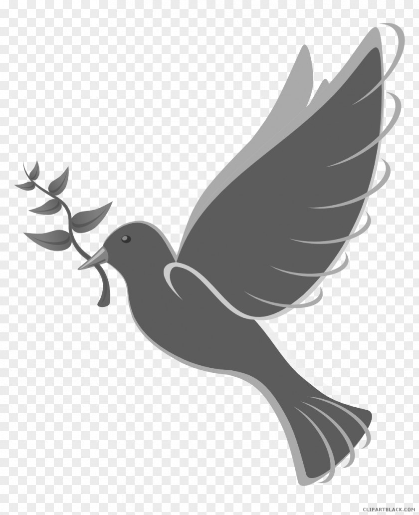 Dove Tree Silhouette Pigeons And Doves Clip Art Free Content Domestic Pigeon PNG