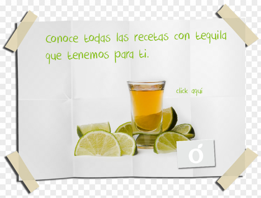 Drink Tequila Mezcal Liqueur Food PNG