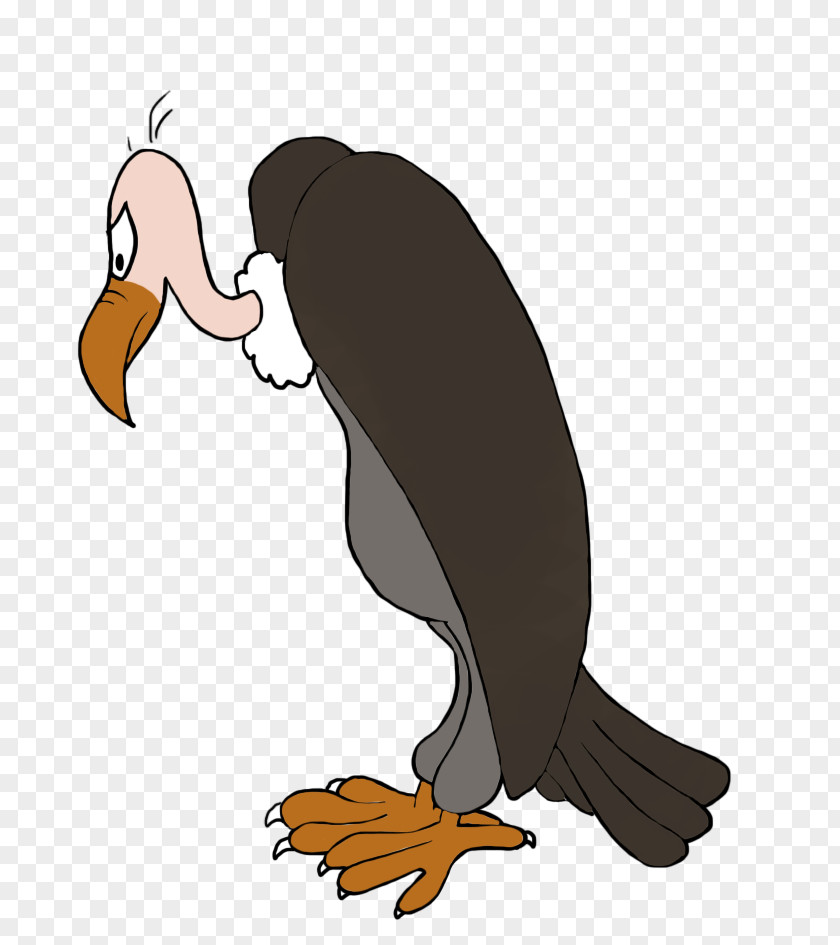Duck Beaky Buzzard Turkey Vulture Clip Art PNG