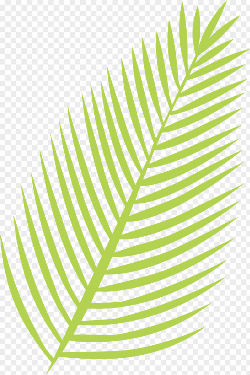 Leaf Image Paper Design Stencil PNG