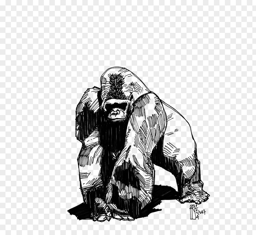 Gorilla Western Tattoo Phaeleh @ Drawing Groovanometry PNG