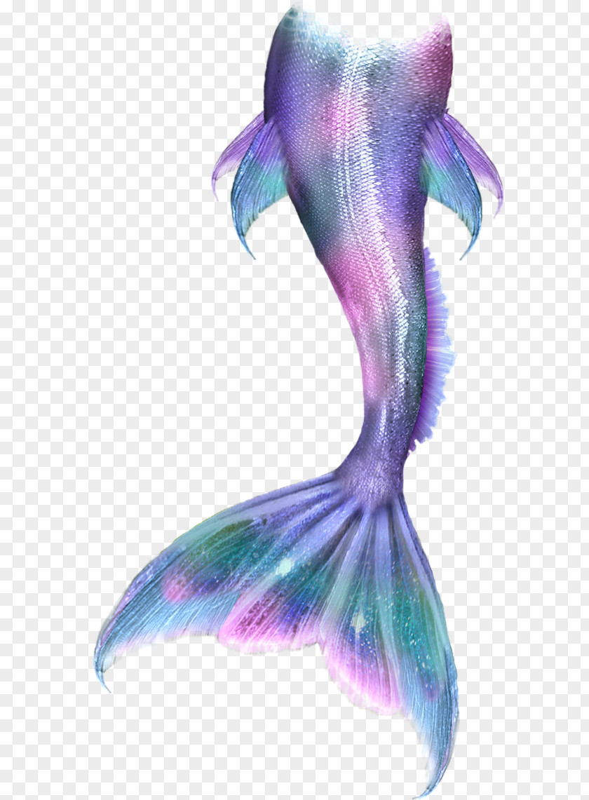 Mermaid Tail Ariel Merliah Summers Merman PNG