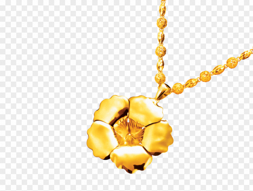 Necklace Gold Jewellery Earring Charms & Pendants PNG