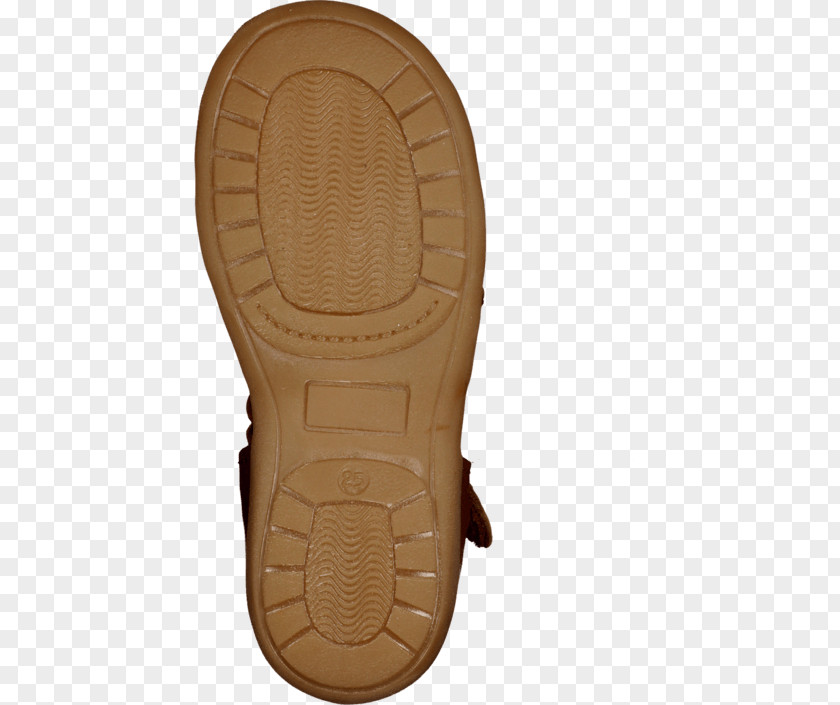 Pom Walking Shoe PNG