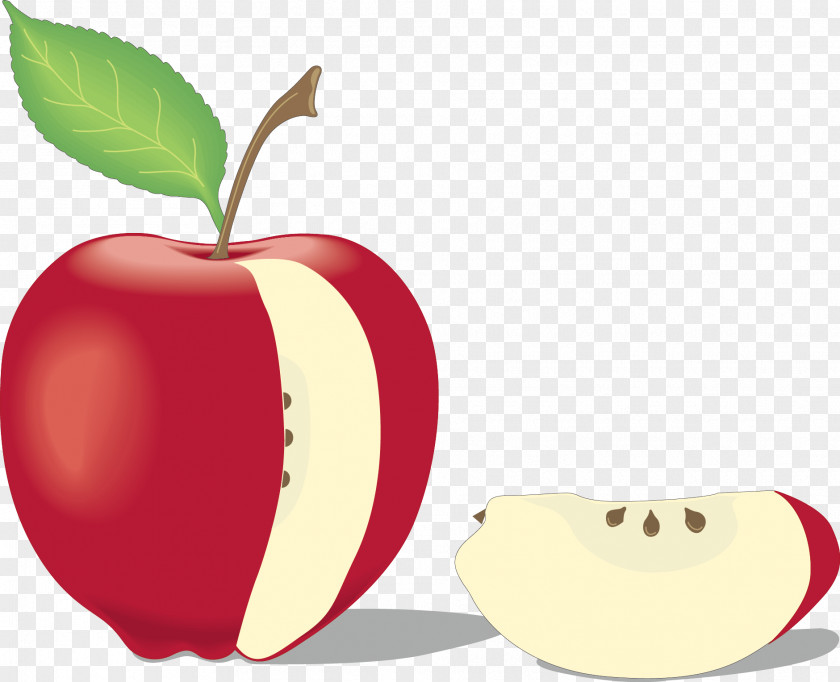Red Apple Learn About Fruits Juice Berry PNG